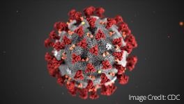 Coronavirus | image credit: CDC