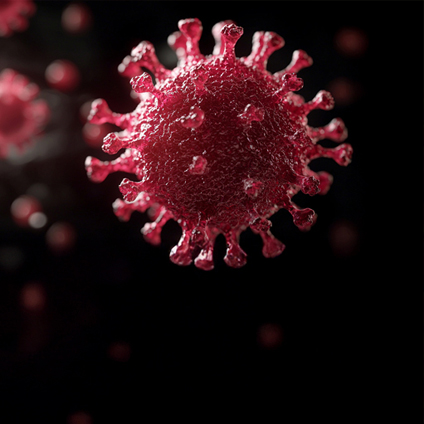 Avian Flu