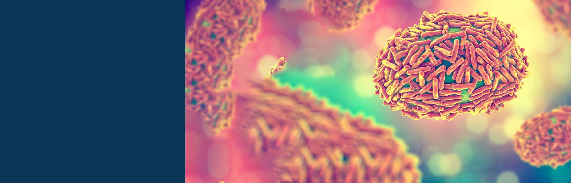 Monkeypox Resources